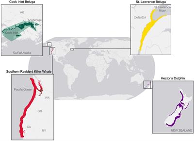 A Systematic Review Demonstrates How Surrogate Populations Help Inform Conservation and Management of an Endangered Species—The Case of Cook Inlet, Alaska Belugas